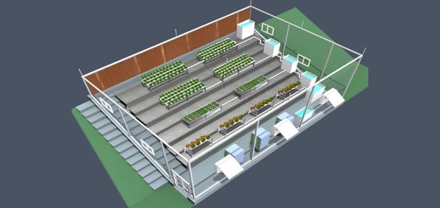 植物組培實驗室